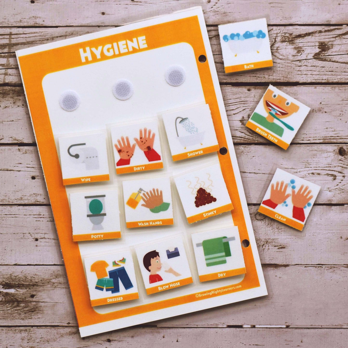 Dual Statements & Hygiene Board, Dynamic (Medium Icons, Half Page)